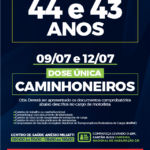 Cronograma