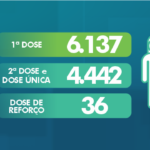 2010Vacinometro