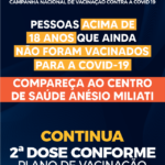 Cronograma