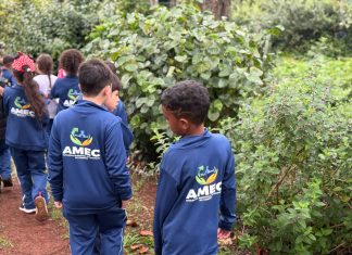 Alunos da Escola Monteiro Lobato participam de visita ao Sítio Rochedo